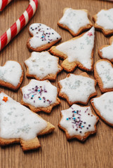 Christmas gingerbread cookies