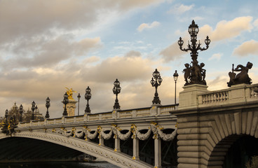 Fototapeta na wymiar The bridge Alexandre III.