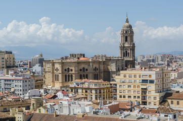 Fototapeta na wymiar Malaga Cathedral Aerial view