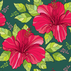 Seamless pattern with Chinese Hibiscus flower in red and green ornate leaves on the dark green background