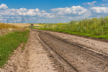 Fototapeta na wymiar Earth road with dried trace between agricultural fields in Ukraine at summer season.