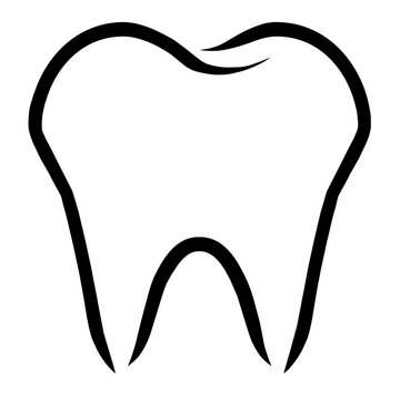 ts5 ToothSign - Tooth Anatomy - white single molar tooth isolated on white background - square g4111