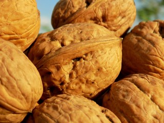 Walnuts in nutshell