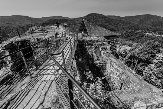 Sur les Hauteurs du Ch&acirc;teau de Fleckenstein - Lembach (Alsace)