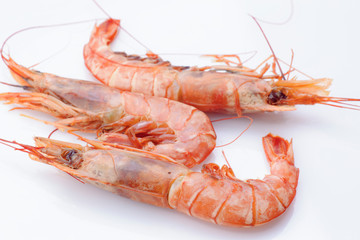 raw prawns isolated in white