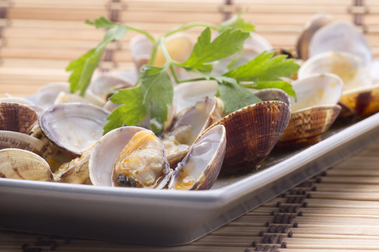 one clams