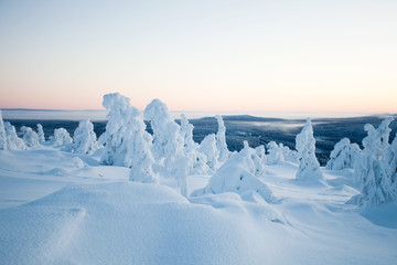 Naklejka premium Winter in Lapland Finland