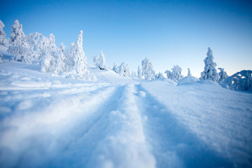 Obraz premium Winter in Lapland Finland