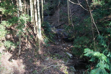 Fototapeta premium 山