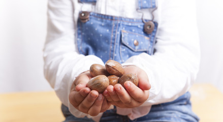 Portrait of playing with walnut