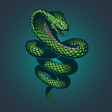 Snake illustration