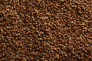 Buckwheat