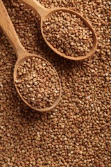 Buckwheat