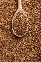 Buckwheat