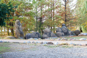 Ancient arboretum on the northwest Caucasus