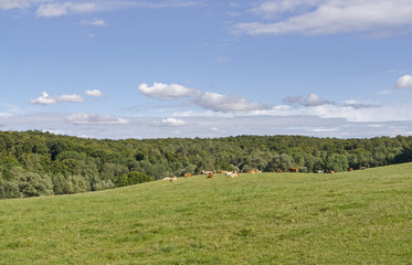 Feldberg am Haussee