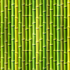 Seamless Bamboo Background. Vector illustration, eps10.