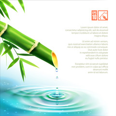 Naklejka premium Bamboo Fountain. Vector illustration, eps10.