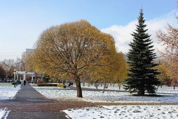 Зима в городском парке