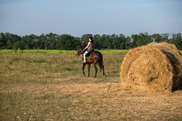 Young beautiful girl with a horse on nature