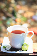 Tea and nature 10