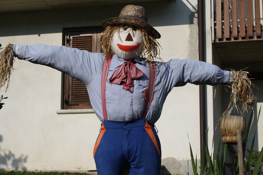 The scarecrow guarding the garden and the vegetables home