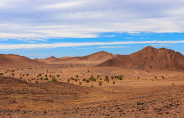 Fototapeta na wymiar desert landscape, Morocco