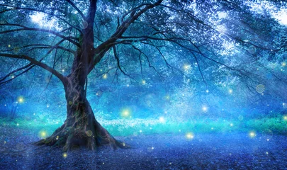 Foto op Plexiglas Sprookjesbos Sprookjesboom In Mystic Forest