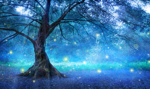 Fairy Tree In Mystic Forest
