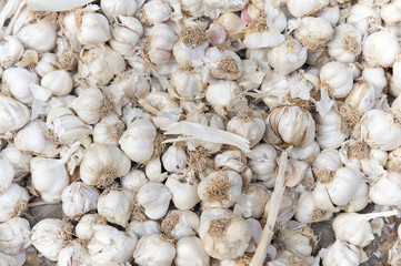 Garlic On Market Stand