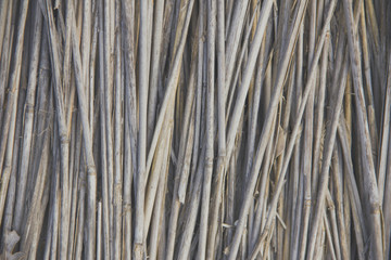 Front view of cane dry, as a background