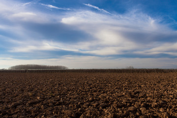 France. Paysage agricole Tarn et Garonne. Midi Pyrénées