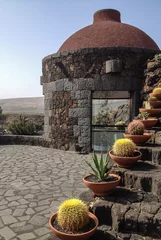 Schilderijen op glas View of cactus garden, gardin de cactus in Guatiza, Lanzarote, Canary Islands, Spain © gerduess