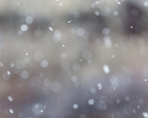 snow falls on the nature