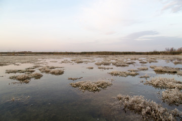 beautiful sunrise of the sun on the lake