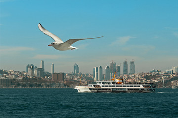 Bosphorus in Istanbul, Turkey.