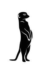 Obraz premium Meercat
