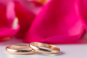 Golden wedding rings with rose petals