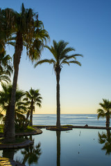 Fototapeta na wymiar Sunrise on the beach in Spain and palms