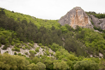 
view of the rock and mountain forest