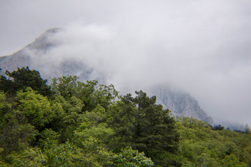 
View of the cliffs shrouded in clouds