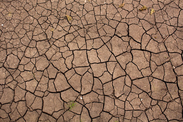 
Texture of dry land