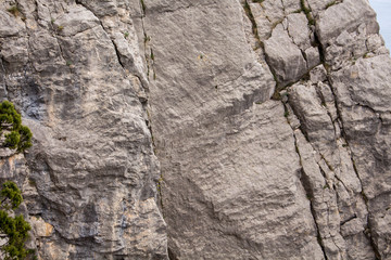 the texture of the rocks