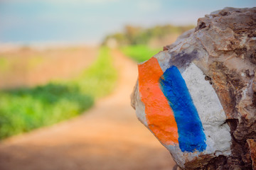 Hiking trail marker (Israel Trail) painted on a stone in countryside area
