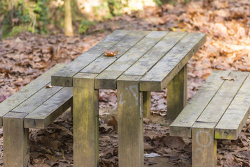 Fototapeta premium Wooden picnic table and bench