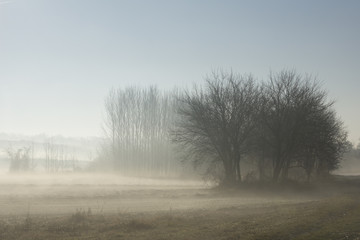 Obraz na płótnie Canvas Morning dew on a Hungarian landscape