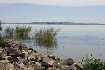 Fototapeta na wymiar Shore of Lake Balaton in Hungary