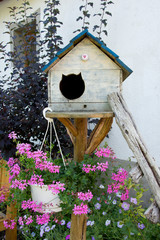 Wooden cat house on a pole in the garden surrounded by flowers