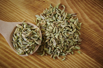 フェンネルティー