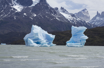 Blue icebergs in Grey Lake, Torres del Paine, Patagonia, Chile